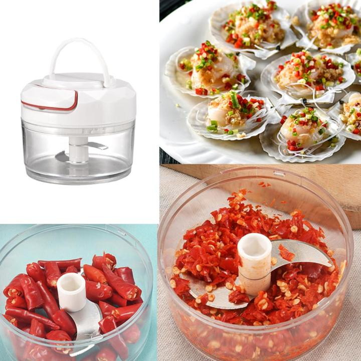 Compact Food Processor